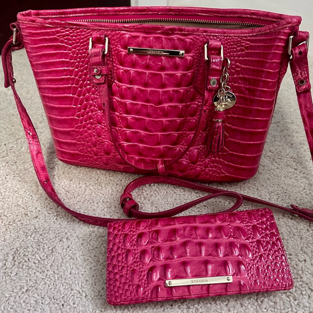 Brahmin Purse and Wallet